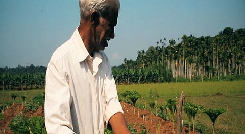 This Tiny Keralan Village Is The First To Achieve Zero Carbon Emissions