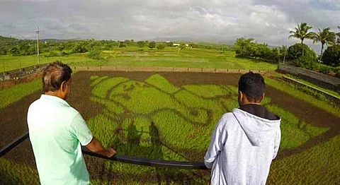 How Japanese Paddy Art Made Its Way To A Maharashtrian Village