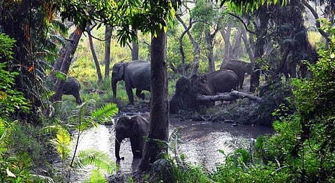 The 17-Year-Old Boy From Lucknow Making Waves With His Wildlife Photography