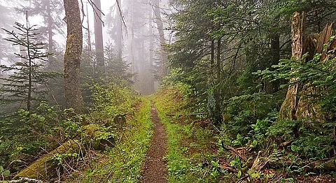 Here Are 5 Treks Around Bangalore For Your Next Weekend Adventure