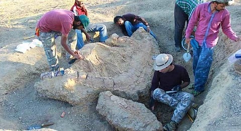 Fossil In Gujarat