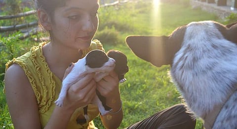 Work With Animals At This Organic Farm & Recovery Centre In Dharamshala