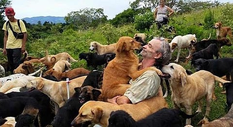 A Sanctuary In Costa Rica Houses Over 900 Abandoned Stray Dogs