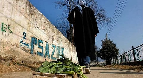 Walking A Cabbage On A Leash In Kashmir