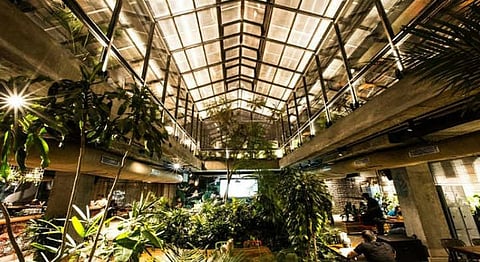 Koramangala's New Social Is A Jungle Paradise Meets Workspace