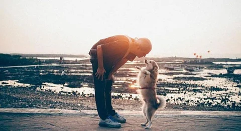 Portraits Of Nine Mumbai Dogs And The Humans That Walk Them