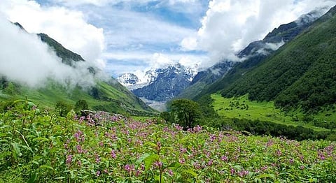 Valley Of Flowers