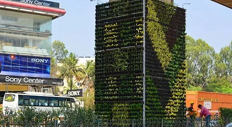 Bangalore Combats Air Pollution With Its First Vertical Garden