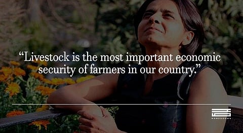 'Why I Would Not Advocate Vegetarianism In India'