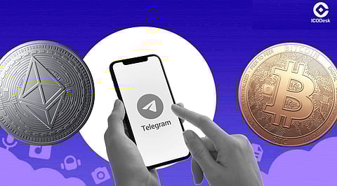 Top 10 Telegram Crypto Channels to Join Now