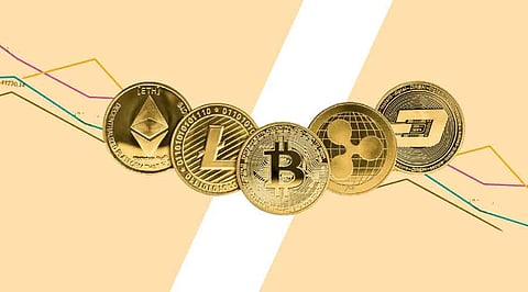 Altcoin Rollercoaster: Possibility of a 50% Market Crash?