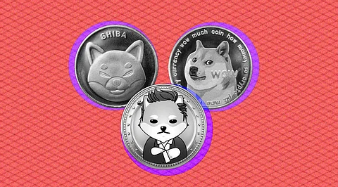 Which MemeCoins are Set to Roar in December 2023?