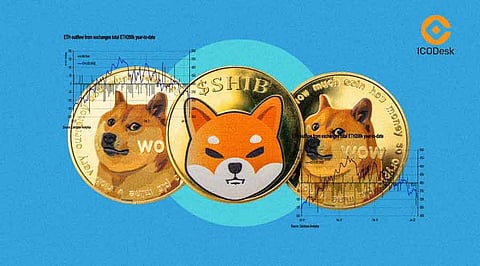 What to Know About SHIB’s Price Amidst the Crypto Crash