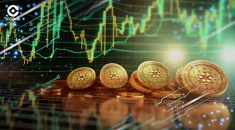 How to Diversify Your Altcoin Portfolio for Maximum Returns