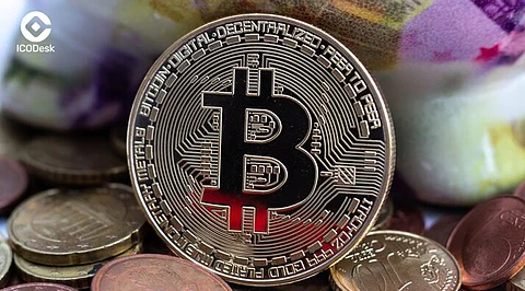 Top 10 Cryptocurrency Gainers of February 13, 2024