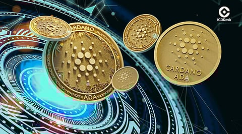 What Are the Different Types of Tokens Offered in ICOs?