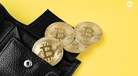Top 10 Wallets for Safely Storing Bitcoin and Altcoins