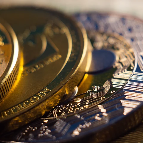 Top Performers: Spotlight on Leading Cryptocurrencies