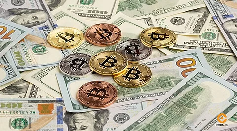 Bitcoin Dips Following Biden’s Withdrawal