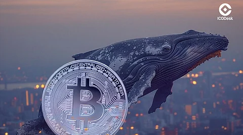 Bitcoin Whales Prepare to Capitalize on Mt. Gox FUD