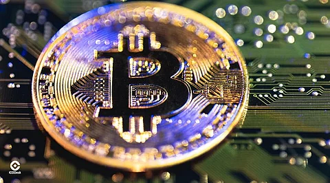 Bitcoin Eyes $80K as US Election Sparks Crypto Market Excitement