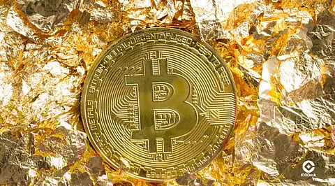 Can Bitcoin Outperform Gold in 2025