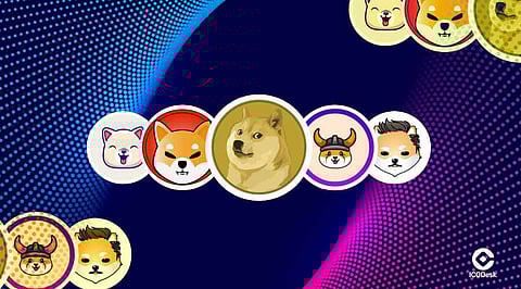 Can Meme Coins Prove Their Worth in a Regulated Market?