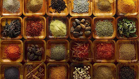 Unlocking the medicinal properties of Indian spices