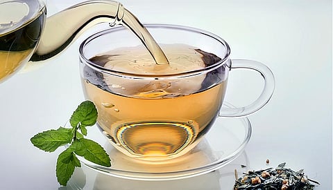 Green tea extracts pack gut health benefits, study finds