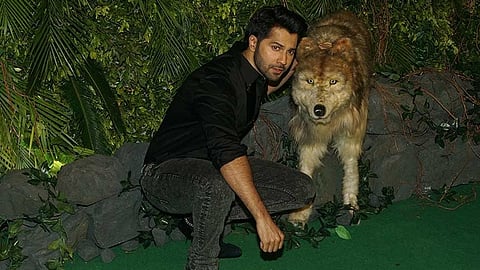 Film Review: Bhediya (Wolf)