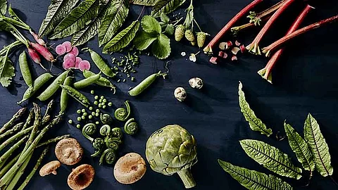 The many plant-derived benefits on gut, brain health