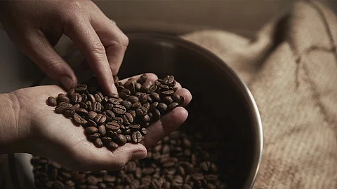 Can coffee grounds hold key to brain health?