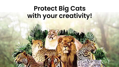 India highlights forest conservation at UN forum in New York