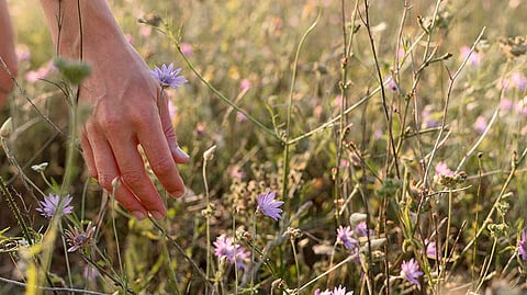 Green Social Prescribing: Why nature-based activities are the best medicine
