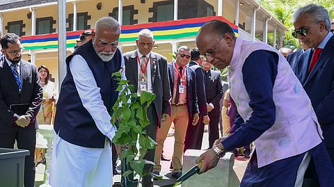 Tree planting opens Indian PM Modi's Mauritius visit
