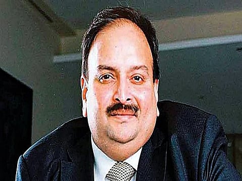 Belgium closely following Indian fugitive Mehul Choksi case