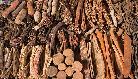 The global emergence of Ayurveda
