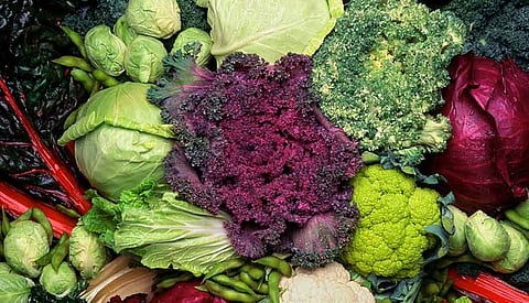 Broccoli, cabbage a cut above for blood vessel health