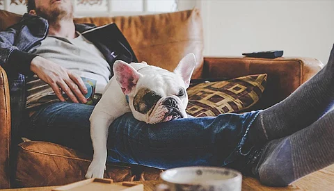 Laziness makes chronic pain management tougher: Study