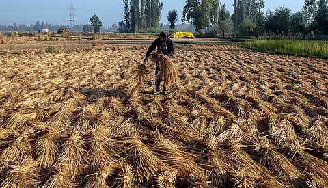 India poised for major investments from UAE in food, agritech