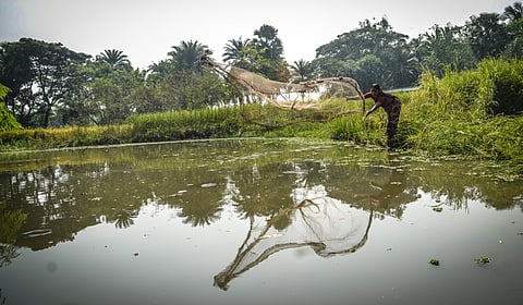 Fish pond in West Bengal (Image: India Water Portal Flickr)