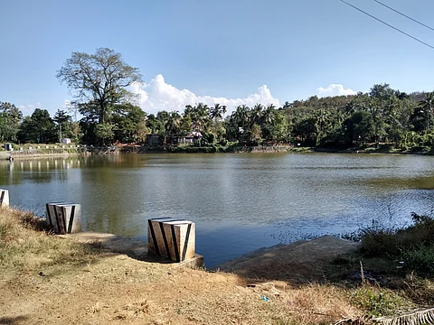 A community pond in Palakkad, Kerala.