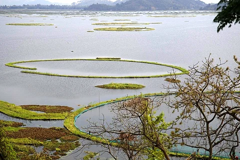 Sources, impacts, and potential mitigation strategies for microplastic pollution in wetland ecosystems (Image: Karen Conniff; Flickr Commons; CC BY-NC 2.0)