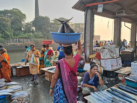 A woman carrying fresh fish in a basket walks through the bustling Cuffe Parade fish market in Mumbai.