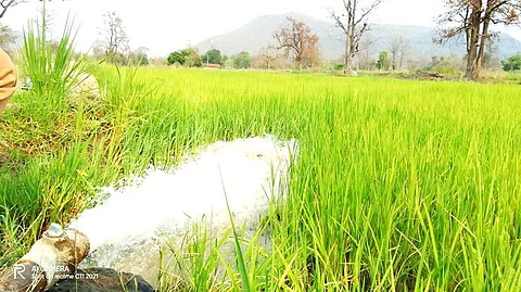 Khamdhodgi's irrigation revolution (Image: Samarthan)