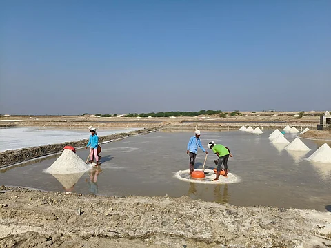 Life around Sambhar Lake: The impact of community water conservation (Image: Swapna Sarita Mohanty)
