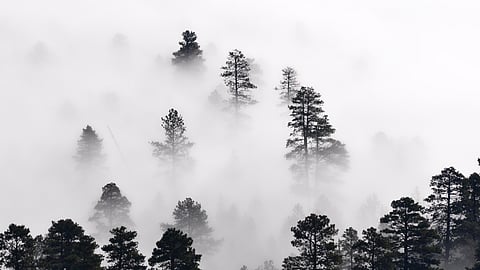 India's hidden nitrogen dioxide crisis exposed in 7 cities (Image: Rawpixel; Public Domain, CC0)