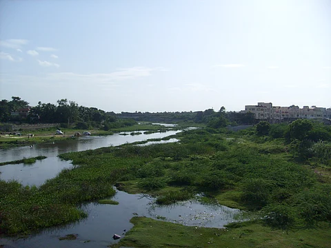 Adyar river (Ravichandar; Wikimedia Commons)