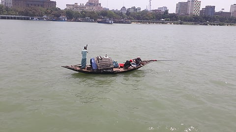 Fishing on the river Hooghly for Hilsa gets tricky