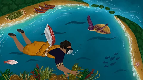 Living Off The Sea: Seaweed Harvesting at India’s Southern Tip